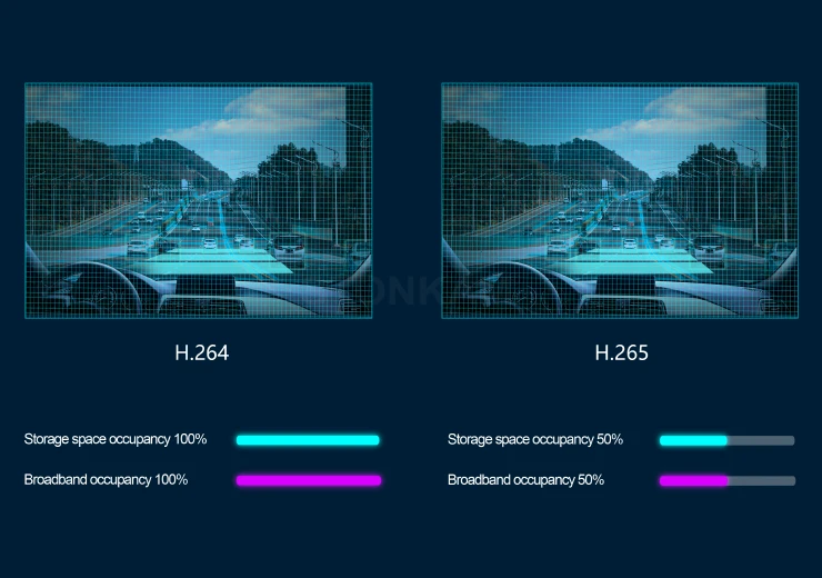 Dual Encoding and Network Firmware Upgrade