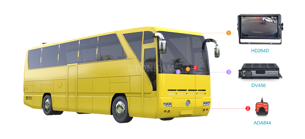 Public Transportation