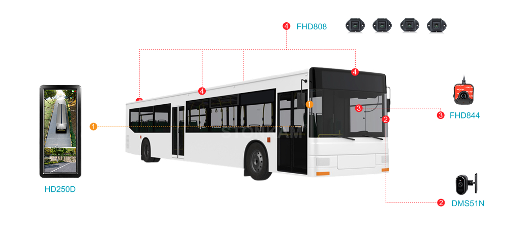 Public Transportation